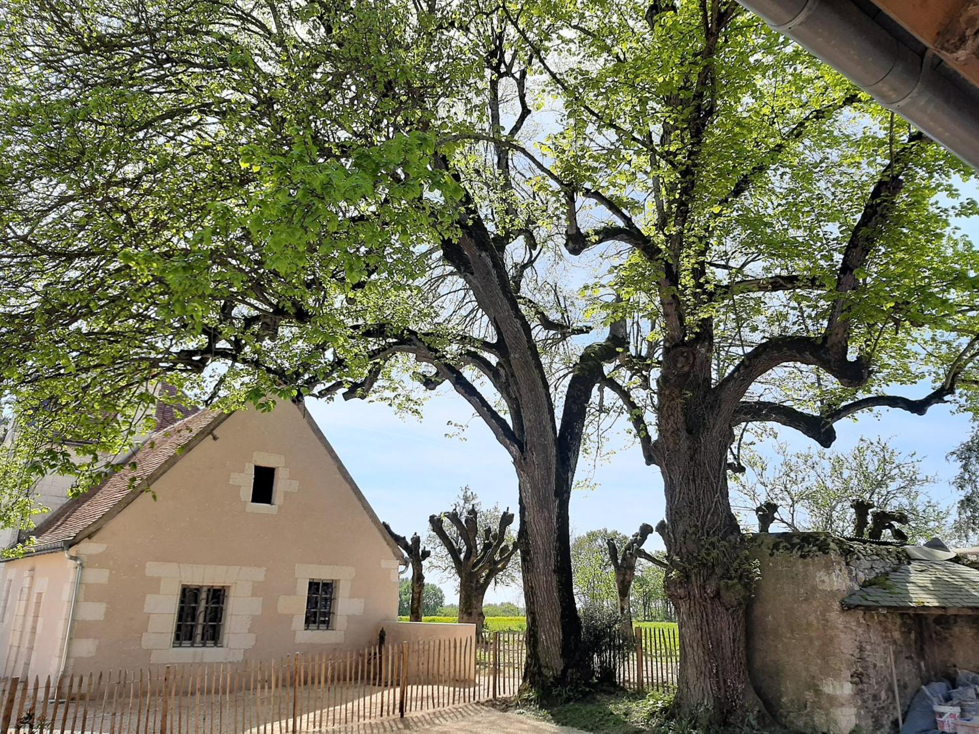 Le Puits Renaissance - Gites De Caractere Et Piscine Chauffee Chambourg-sur-Indre Екстериор снимка